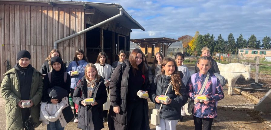 Klasse 6 besucht Bauernhof Treiber in Fellbach